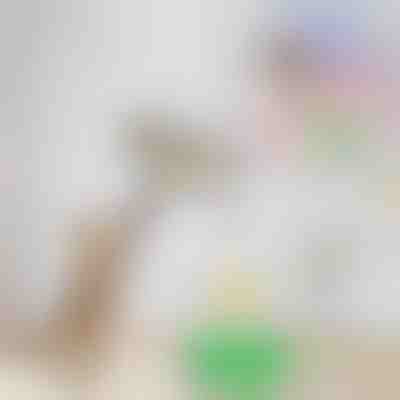 Ηλεκτρικό παιχνίδι πειραχτήρι για γάτες | BIRDIETOY