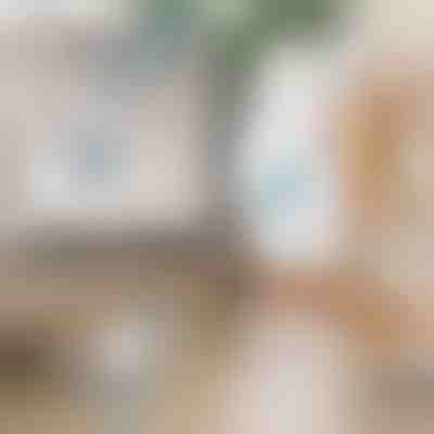 Ηλεκτρική περιστρεφόμενη βούρτσα καθαρισμού | ROTOBRUSH