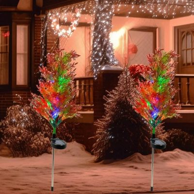 Κυπαρίσσι Δέντρο με Ηλιακό Φως | CUPRESSUS